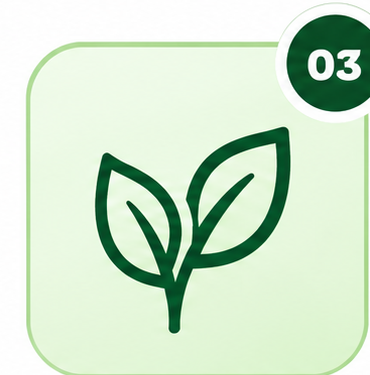 Sustainable Event and Campaign Management
